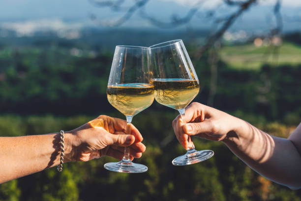 istock Cheers with white wine in outdoor setting 2157885159