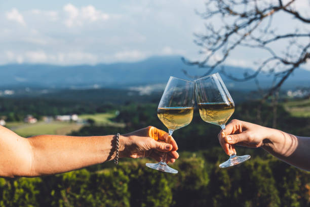 istock Cheers with white wine in outdoor setting 2157885166