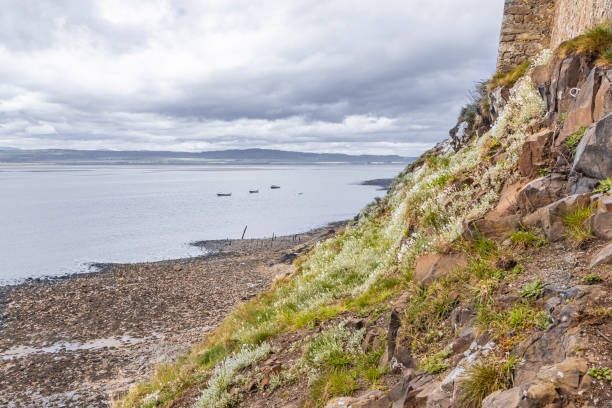 istock Stony beach below Lindisfarne Castle on Holy Island. 2157888040