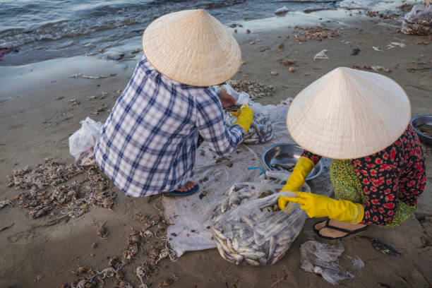 istock Vietnamese women sorting fresh catch, Mui Ne 2157892550