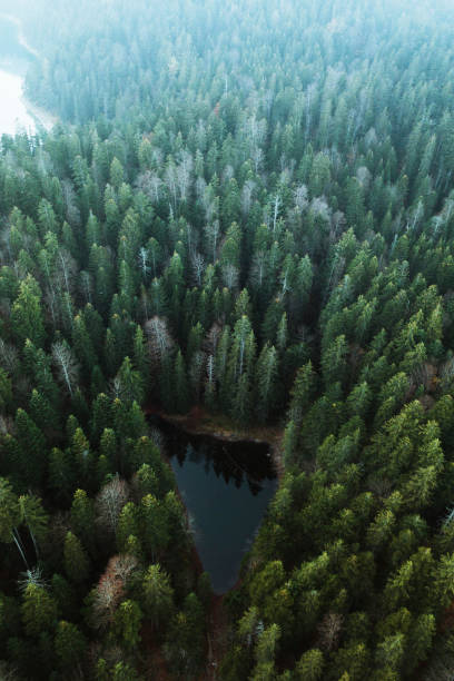 istock Drone shot of Eibsee lake, Germany 2157893067
