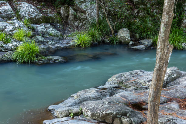 istock Mountain Stream In Australian Rainforest 2157896101