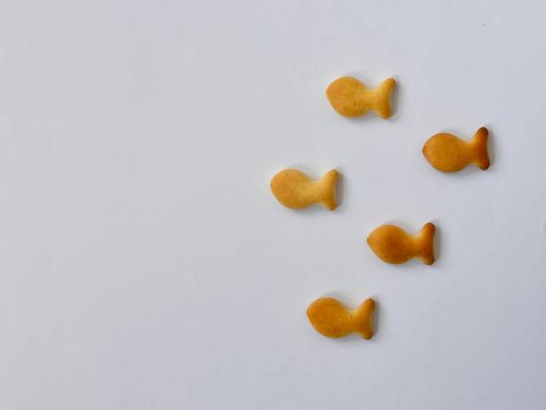 Fish shaped salty wheat crackers isolated on white background with left copy space. Fish-shaped salty wheat crackers - isolated on white background. Conceptual idea image of the power of teamwork, group gathering through the arrangement of delicious biscuit snack meal. goldfish snack stock pictures, royalty-free photos & images