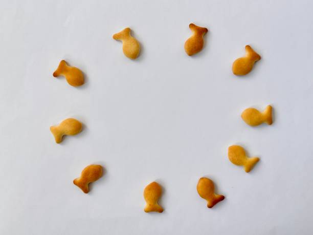 Fish crackers grouped circle conceptual isolated on white background. Salty fish crackers grouped abstract circle. Conceptual idea of focusing on the goal, target, main point in the middle. Creative wheat biscuit snack food top view flat lay isolated on white backgroud. goldfish snack stock pictures, royalty-free photos & images
