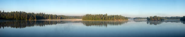 istock forest lake on a summer morning 2157900800