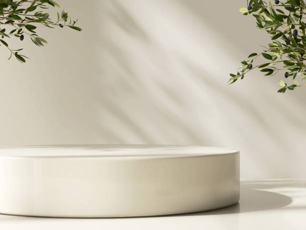 istock Modern, minimal beige geometric round cylinder podium, green tree twig in sunlight, shadow on wall 2157903341
