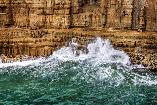 Dungy Head, in March, near West Lulworth, Dorset, England, United Kingdom