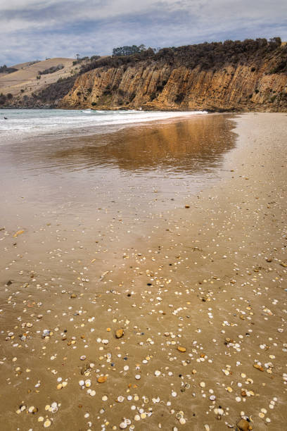 View of cliffs with shells and reflections in foreground