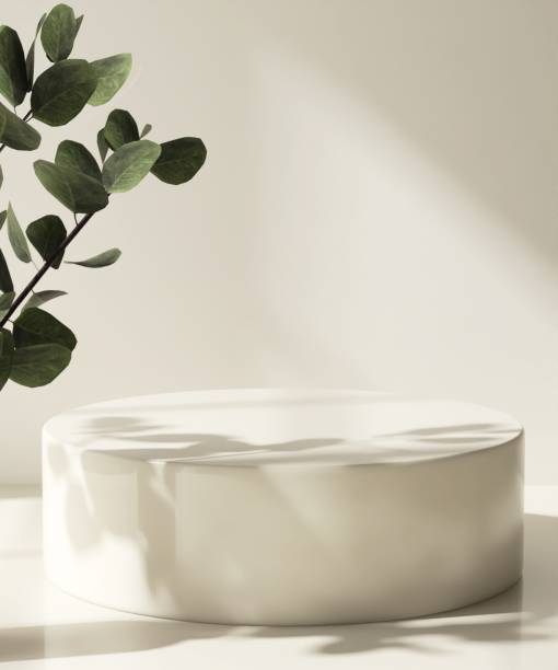 istock Modern and minimal beige geometric round cylinder podium, tree twig in sunlight, shadow on wall 2157904353