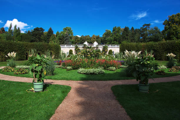 Potsdam, Germany - 15 Sep 2015: Flowers in Potsdam park, Germany