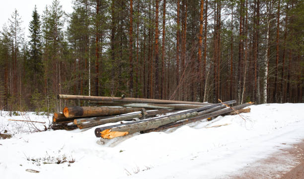 Power maintenance in Finland, replaced stuff is laying on the ground, winter