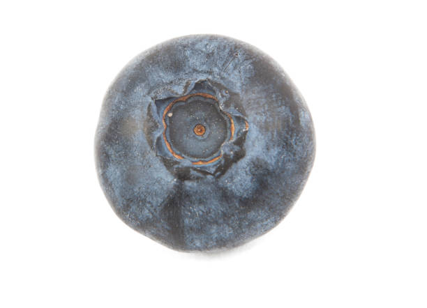 Blueberry fruit, fresh and healthy food
