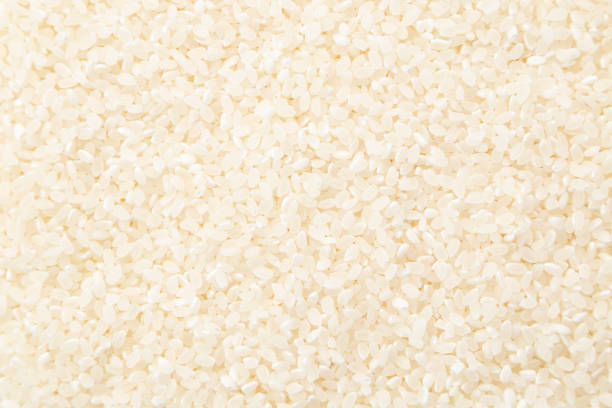 istock Japonica rice background. 2157909575