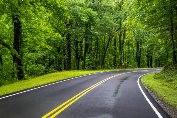 istock A long way down the road going to Great Smokey Mountains NP, Tennessee 2157912014
