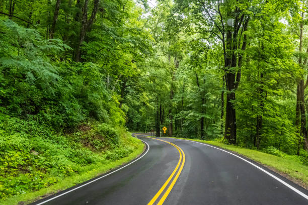 istock A long way down the road going to Great Smokey Mountains NP, Tennessee 2157912029