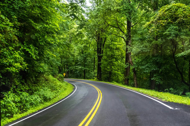istock A long way down the road going to Great Smokey Mountains NP, Tennessee 2157912030