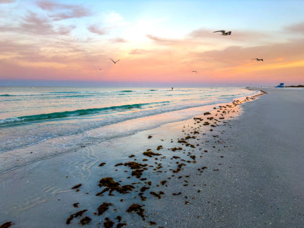 Sandy tropical beach of Siesta Key, Sarasota, Florida