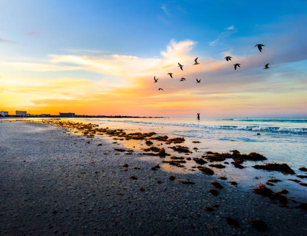 istock Beautiful tropical island beach during sunrise 2157912687