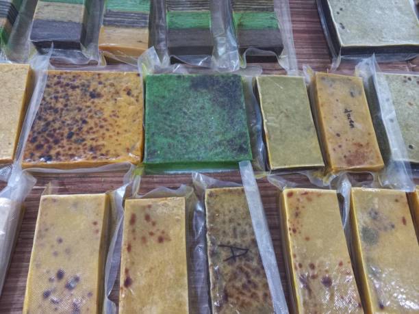 istock a typical Indonesian Sumatran cake, it's called Lapis Legit 2157914880