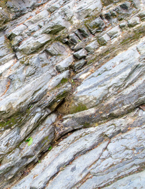 istock Layers of rock as an abstract background. Texture 2157915663