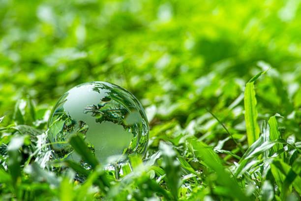 istock Environment. Crystal ball on grass in green forest. with icon symbol Inclusive environment, ecology, conservation, environmental concepts, green business or investment, CSR, ESG, NET ZERO. 2157919536