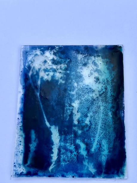 istock Cyanotype printing on glass 2157920503