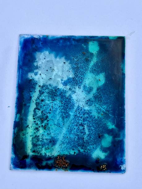 istock Cyanotype printing on glass 2157920505