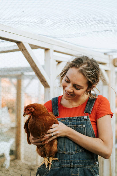 istock Happy young woman with a brown hen 2157920796