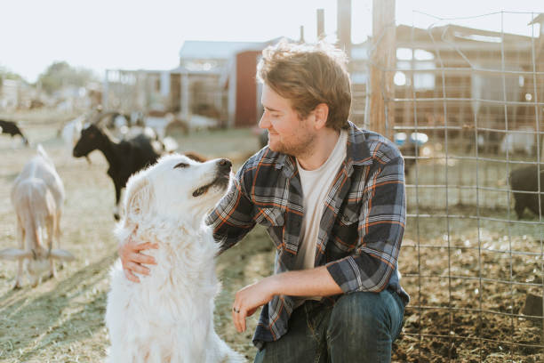 istock A man and his dog, The Sanctuary at Soledad 2157920943