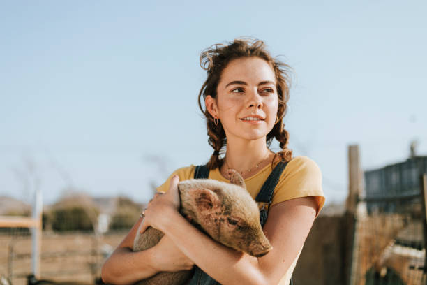 istock Young volunteer with a piglet, The Sanctuary at Soledad, Mojave 2157921234