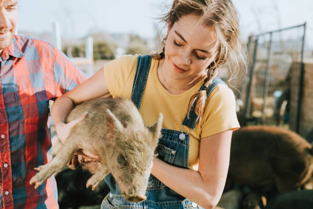 A mother and child interact with a pig on a sunny farm, showcasing familial bonds, rural life, and a love for animals.