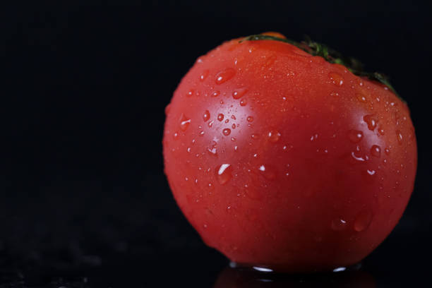 Ripe, fresh, delicious looking red tomato, water drops falling.