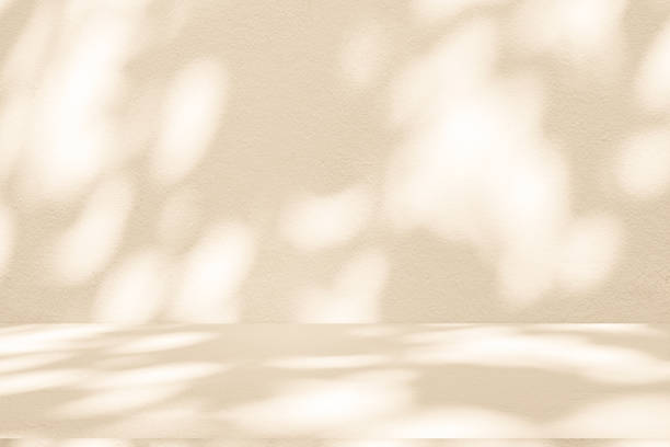 istock Wall interior background, studio and backdrops show products.with shadow leaf from window color green . background for text insertion and presentation product 2157927686
