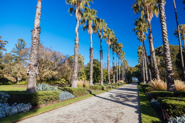 istock Williamstown Botanic Gardens in Melbourne Australia 2157928359