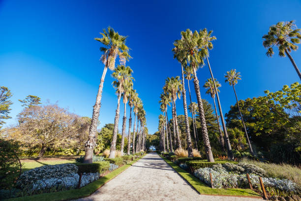 istock Williamstown Botanic Gardens in Melbourne Australia 2157928364