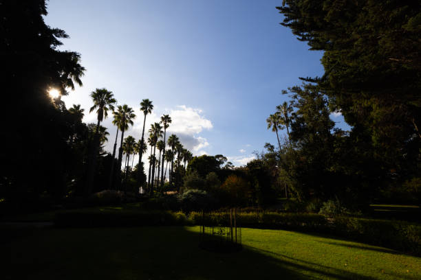 istock Williamstown Botanic Gardens in Melbourne Australia 2157928385