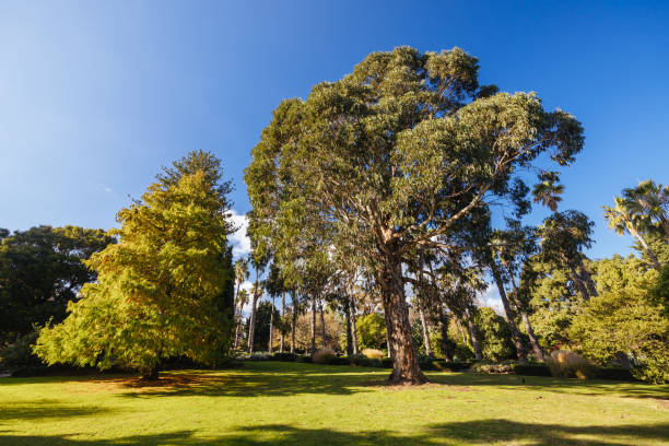 istock Williamstown Botanic Gardens in Melbourne Australia 2157928392