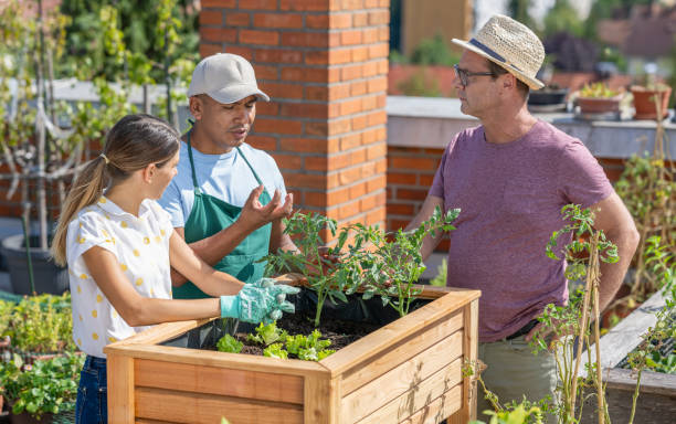 istock Young Couple Learning Urban Gardening 2157933126