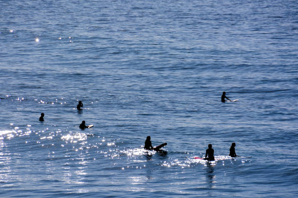 Single surfer at sunset on a calm ocean