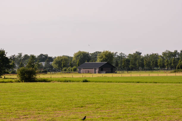 istock European natural countryside 2157933693