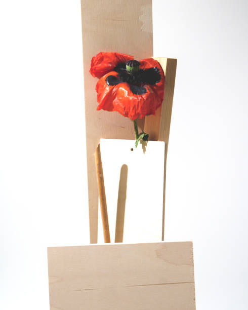 Modern still life. Art composition
