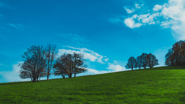 Landscape (Urdenbacher Kämpe near Düsseldorf) along the old riverbed of the Rhine (Old Rhine).