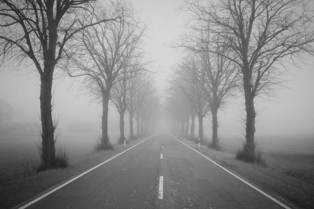 istock The motorway  in a fog 2157944896