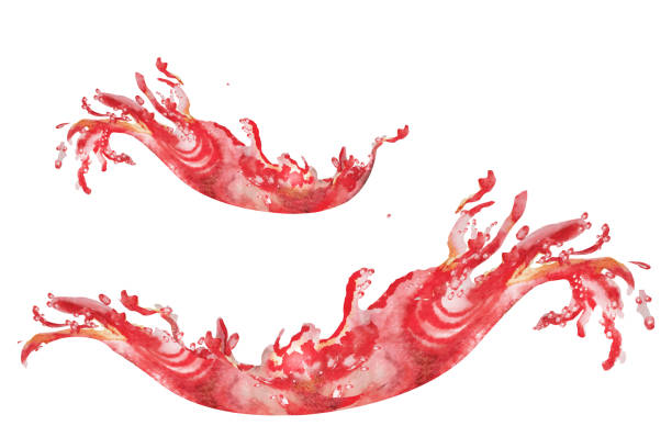 istock Watercolor illustrations Splash of juice or wine. Watercolor hand painted 2157948325