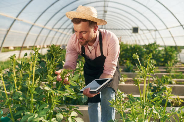 istock Digital tablet in hand. Man in greenhouse is working with plants 2157952577