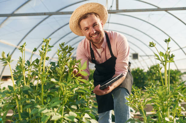 istock Using digital tablet. Man in greenhouse is working with plants 2157952589