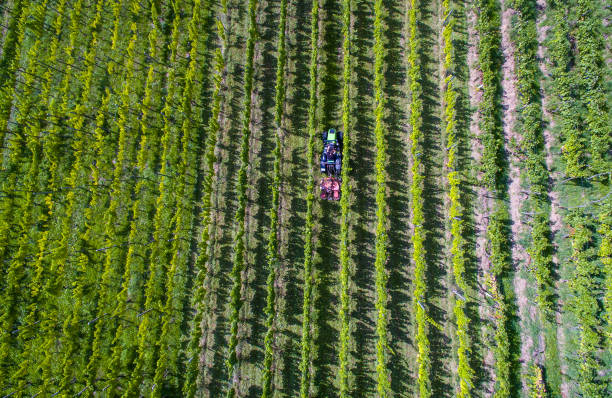 istock Neuffen in Germany | View to grapevine 2157957122