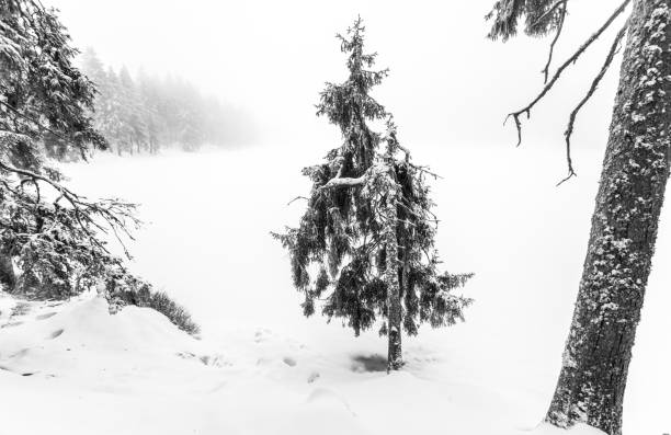 Black Forest in Germany in Baiersbronn at Winter