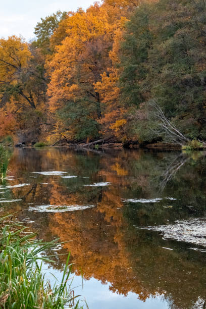 istock Scenic Riverside with Autumn Golden Trees 2157958249