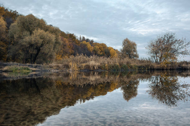 River scenery with autumn trees and clouds reflecting in mirror calm water surface
